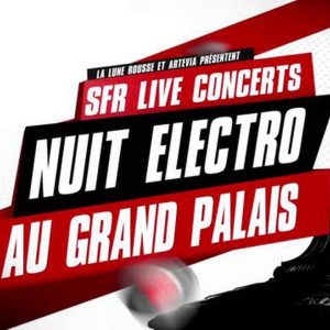VR LIVE la nuit electro au grand palais by SFR